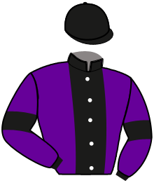 MERVEILLE DAB