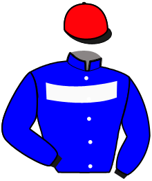 KAPLA DEVOL