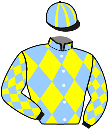 MISTER DES THUYAS