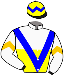 FLYING FORTUNE