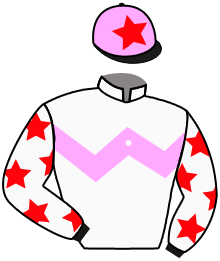 FLASHING FIGHTER