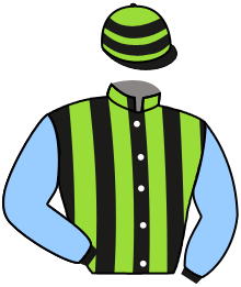 STAR FIGURE