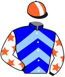 ACE CHAMPION