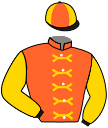 ARMOR GOLDEN EAGLE