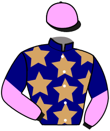 L'AMIRAL DIGEO