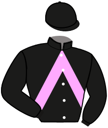 LADY DAIRPET