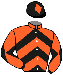 THE LAST FOAL