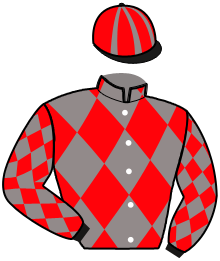 JARDIN DU ROI