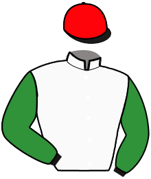 SILVER BULLIT