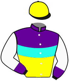 MOLUSCO