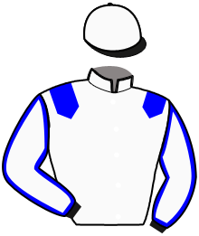 SAMMY BOY (BEL)