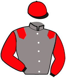 NORMANDIE NIEMEN
