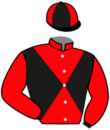 STARSPIRIT GATSBY