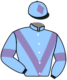 NEW FLINT