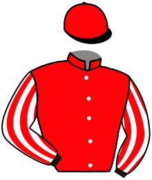 LE CHAMP DU CYGNE