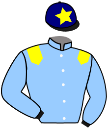 TSAVERNA