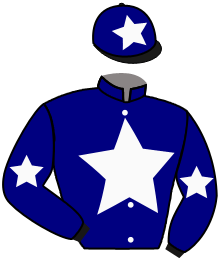 BROWNY BLUE