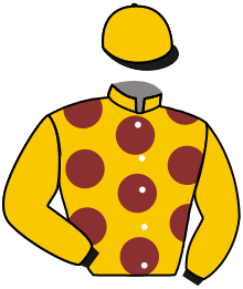 IL FRATELLO