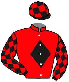 WARILLA GORILLA