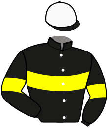 MAXIM D'HERTALS