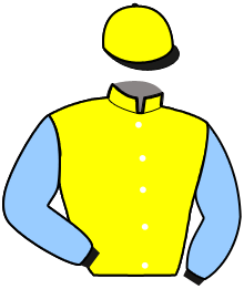 BATTUTA FACE