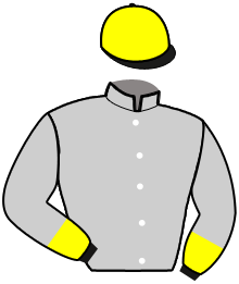 ERNESTO ROC