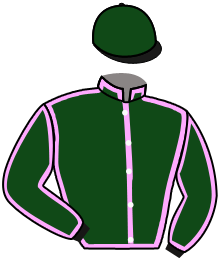 LADY RAFFLES