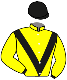 L'ELU DE SADDLE