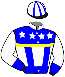 VASTERBO CASTOR