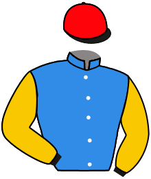 THE JEWELER