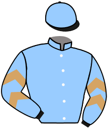 EGYPTIAN