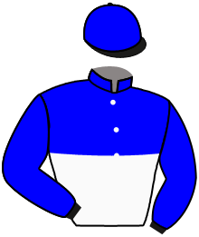 EL GRAN JULIO