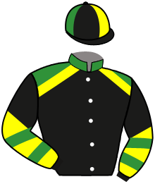 OLEICO SCAT