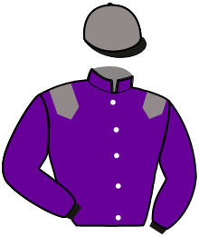 LE PRINCE DU RIS