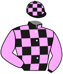 LEONARD DE VINCI