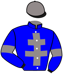 JESS D'ANARDEL