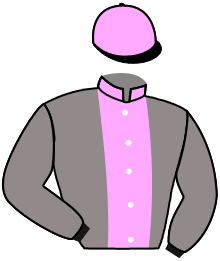 REVE DE PRINCE