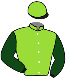CHIMICHURI