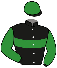 MAESTRO JAMINI