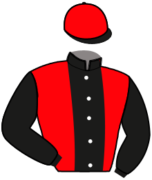 JOKER CASTILUANNE