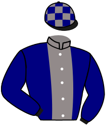 LIB DUBAWI