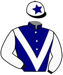 FILZMOOSERIN