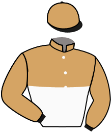 PARTISANO