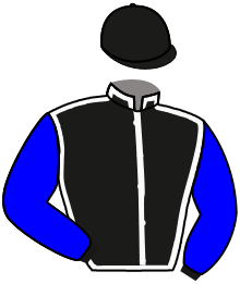 OLYMPIC OWNER