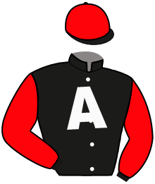 ANDY RODIK