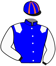 IDEAL WINNER