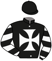 EL GRAN PIRATA