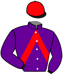 KIMI DU DOME