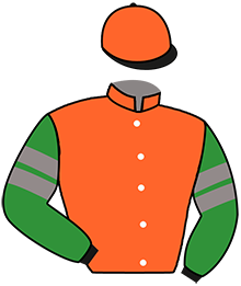 SANSSITA