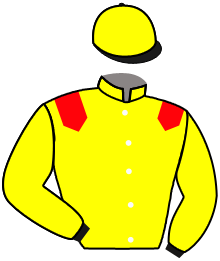 FLAMINGWAY